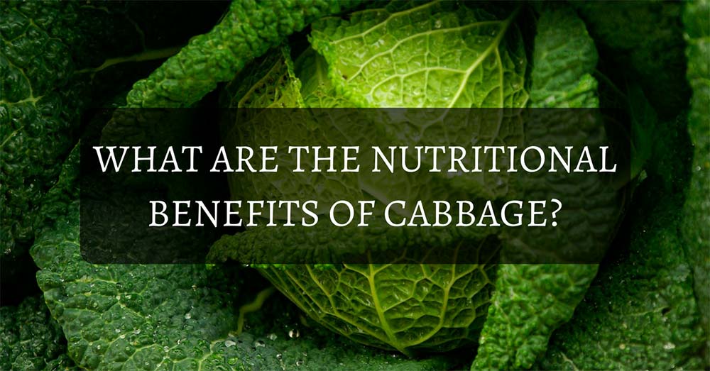 Nutritional Benefits of Cabbage