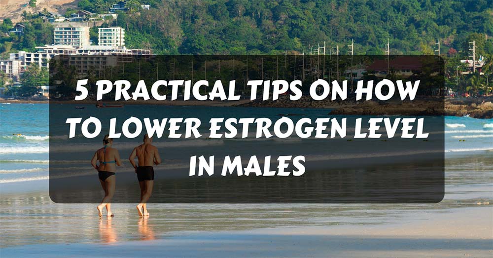How to lower estrogen level in males