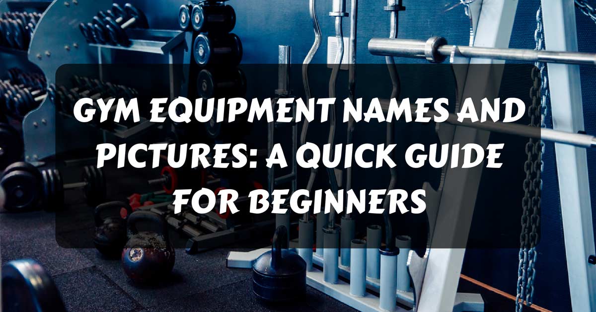 Gym Equipment Names and Pictures
